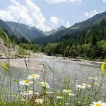 Hochalmbahnen 15w1, Birke, Nahe Gondel, Hunde Willkommen * Rauris