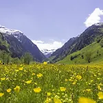Hochalmbahnen 15w1, Birke, Nahe Gondel, Hunde Willkommen Rauris