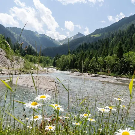 Hochalmbahnen 15w1, Birke, Nahe Gondel, Hunde Willkommen * Rauris