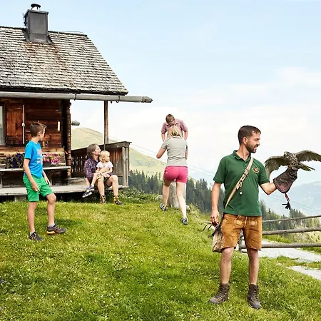 Hochalmbahnen 15w1, Birke, Nahe Gondel, Hunde Willkommen * Rauris