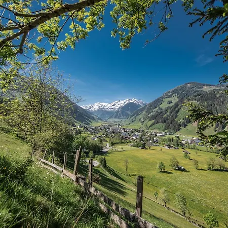 Hochalmbahnen 15w1, Birke, Nahe Gondel, Hunde Willkommen *